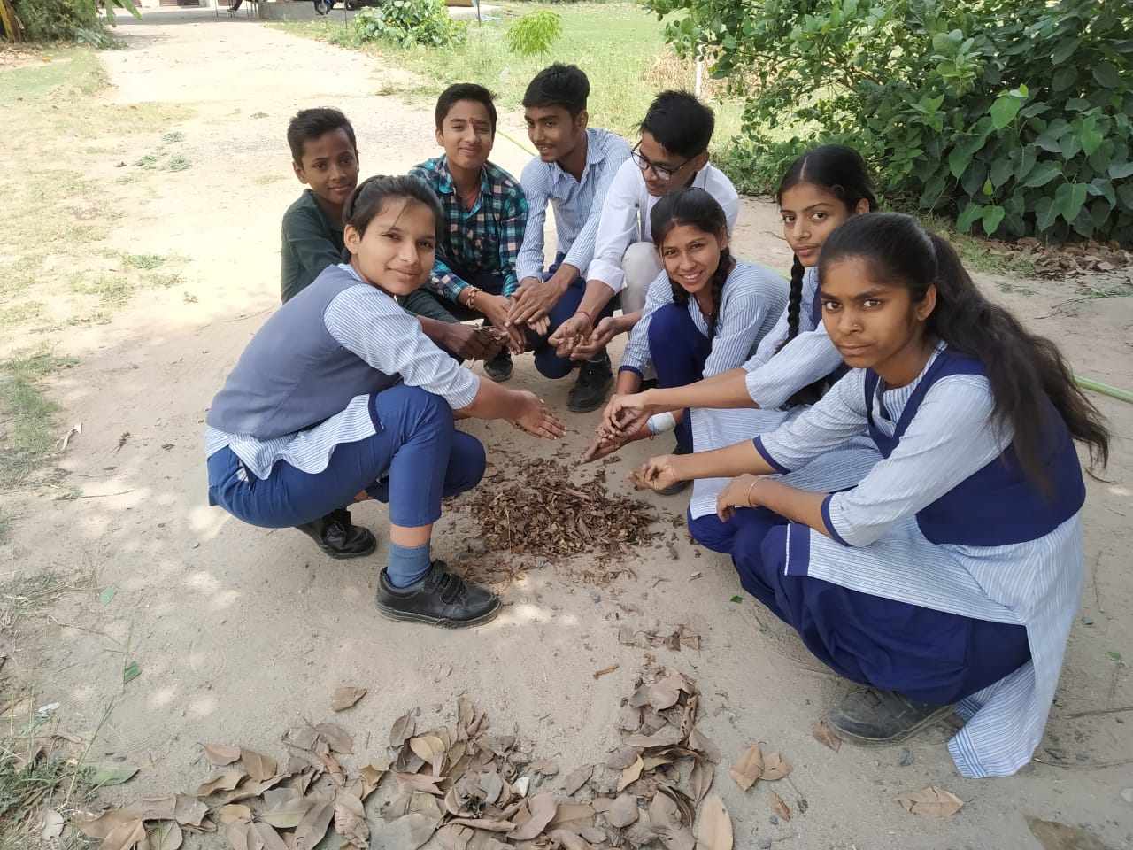 MBS International School 13