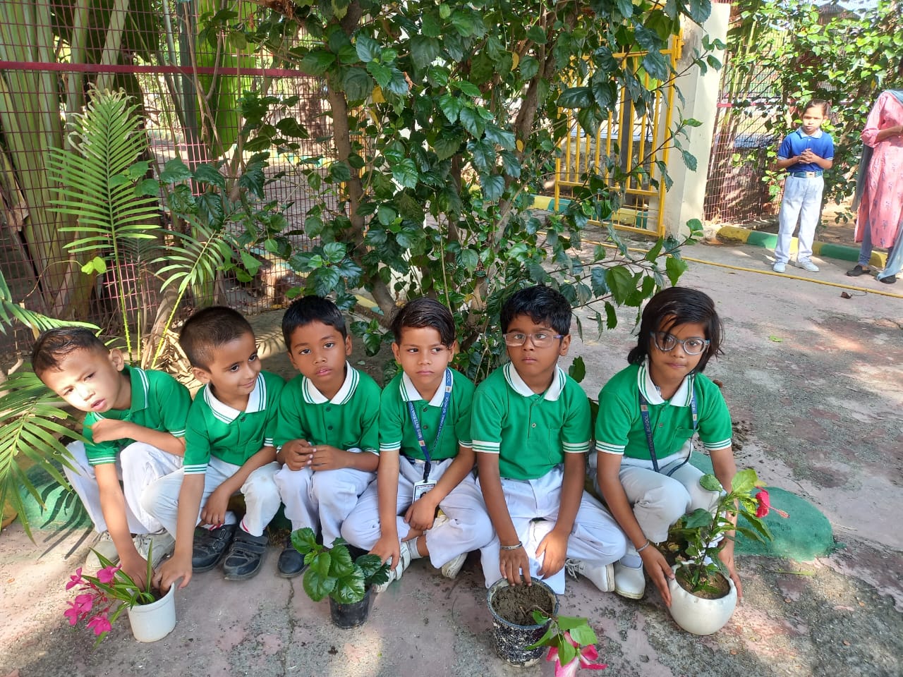 MBS International School 12