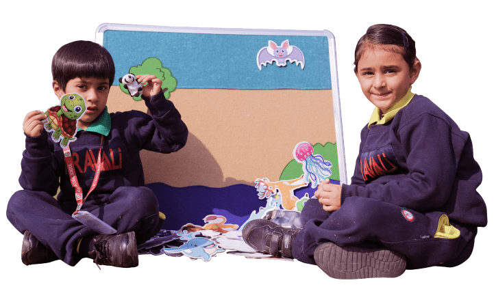 Aravali International School 3