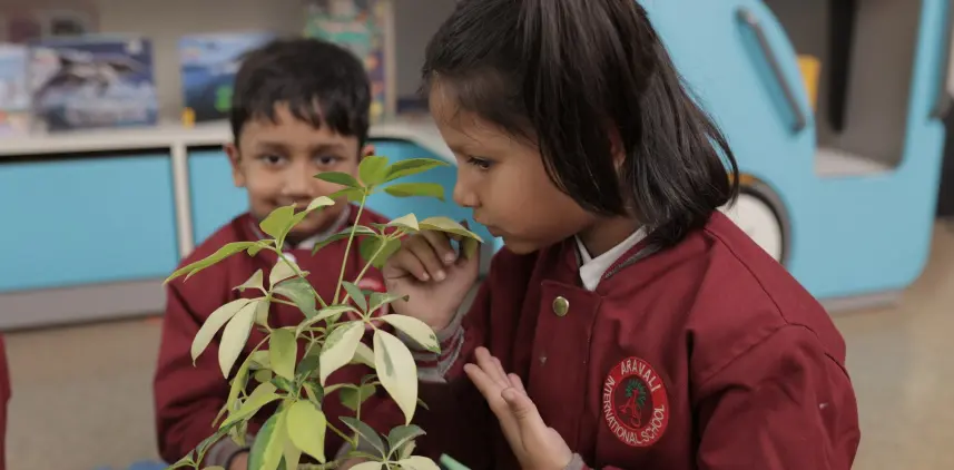 Aravali International School 4
