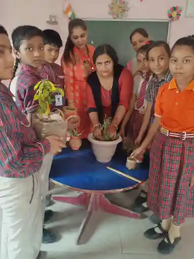 Bloom Field School 3