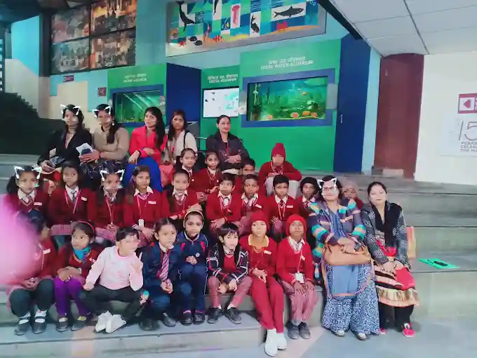 Bloom Field School 2