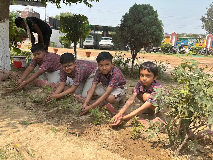 DAV Public School 6