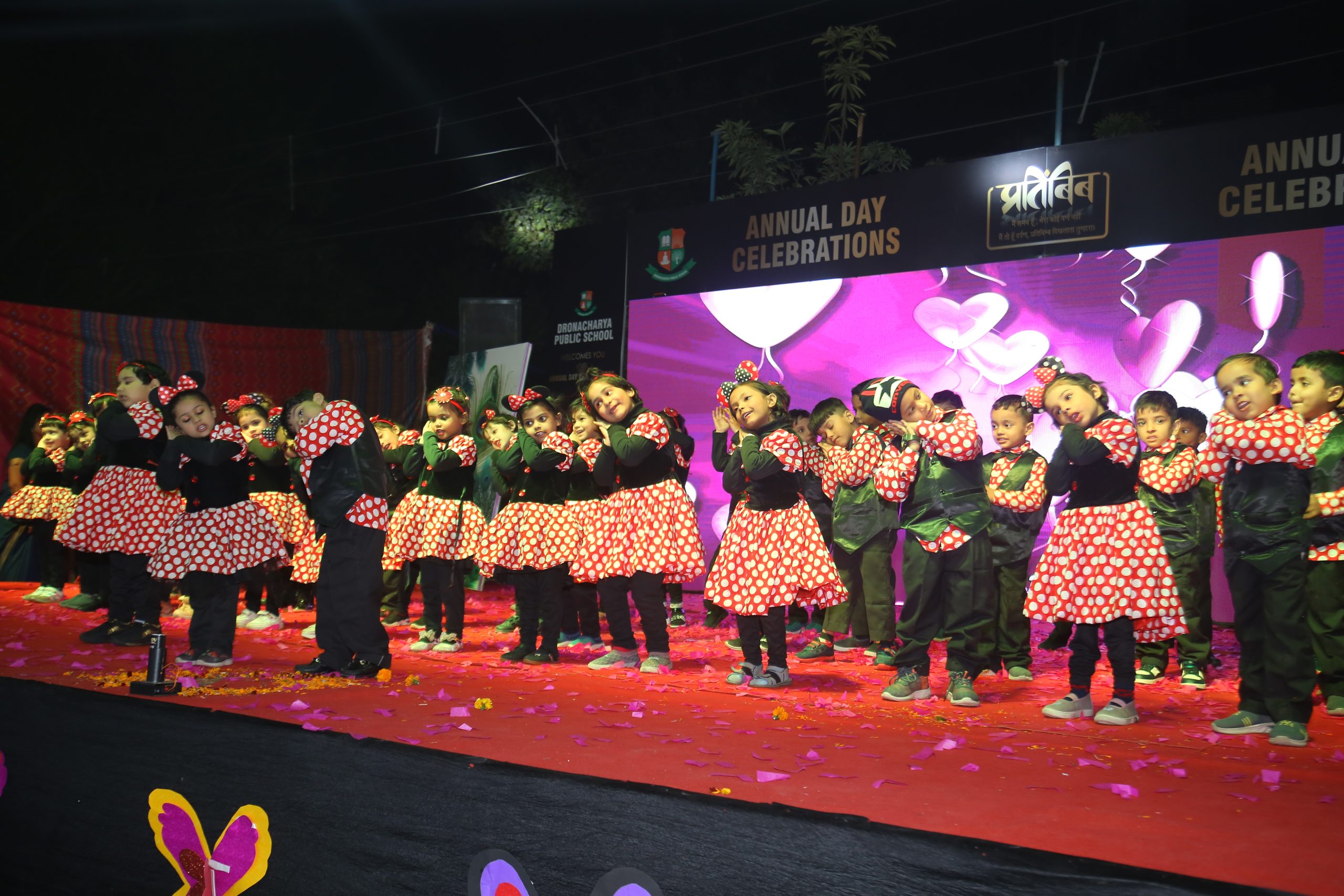 Dronacharya Public School 3