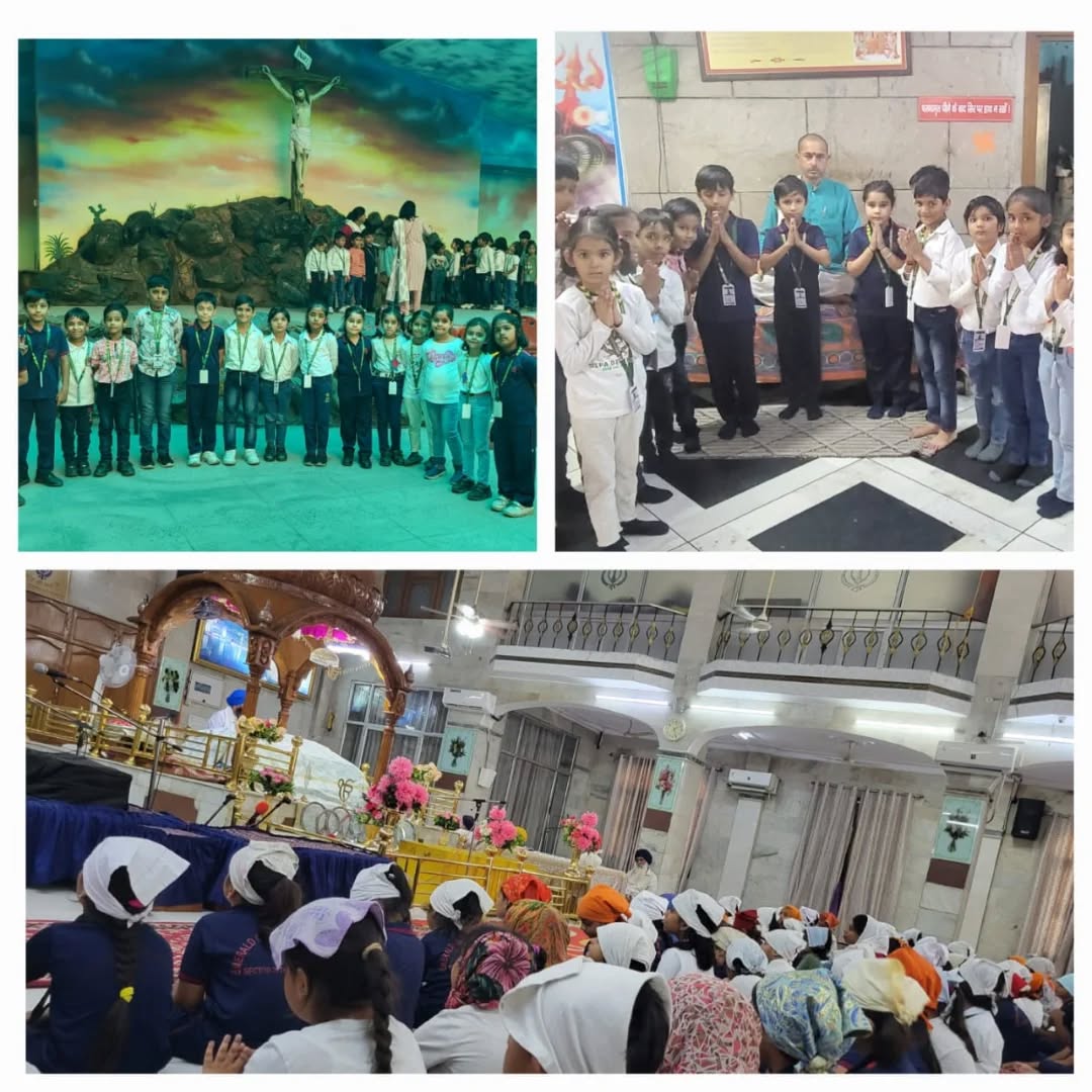Emerald Convent School 9