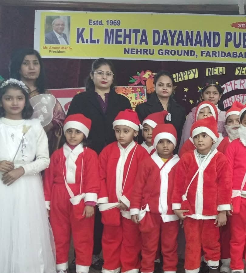 K.L. Mehta Dayanand Public Senior Secondary School 2