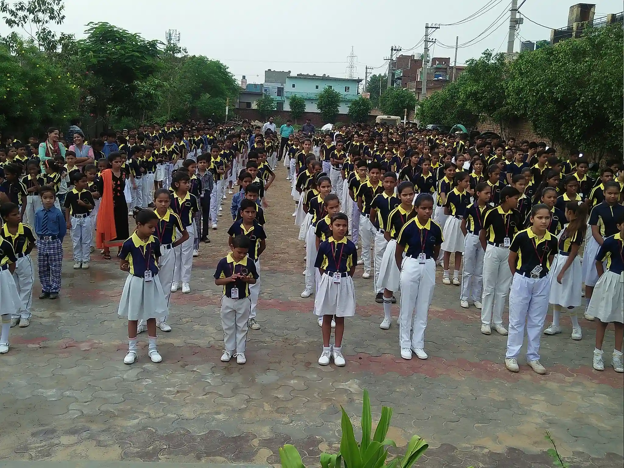 Kanchan Vidya Mandir Senior Secondary School 3