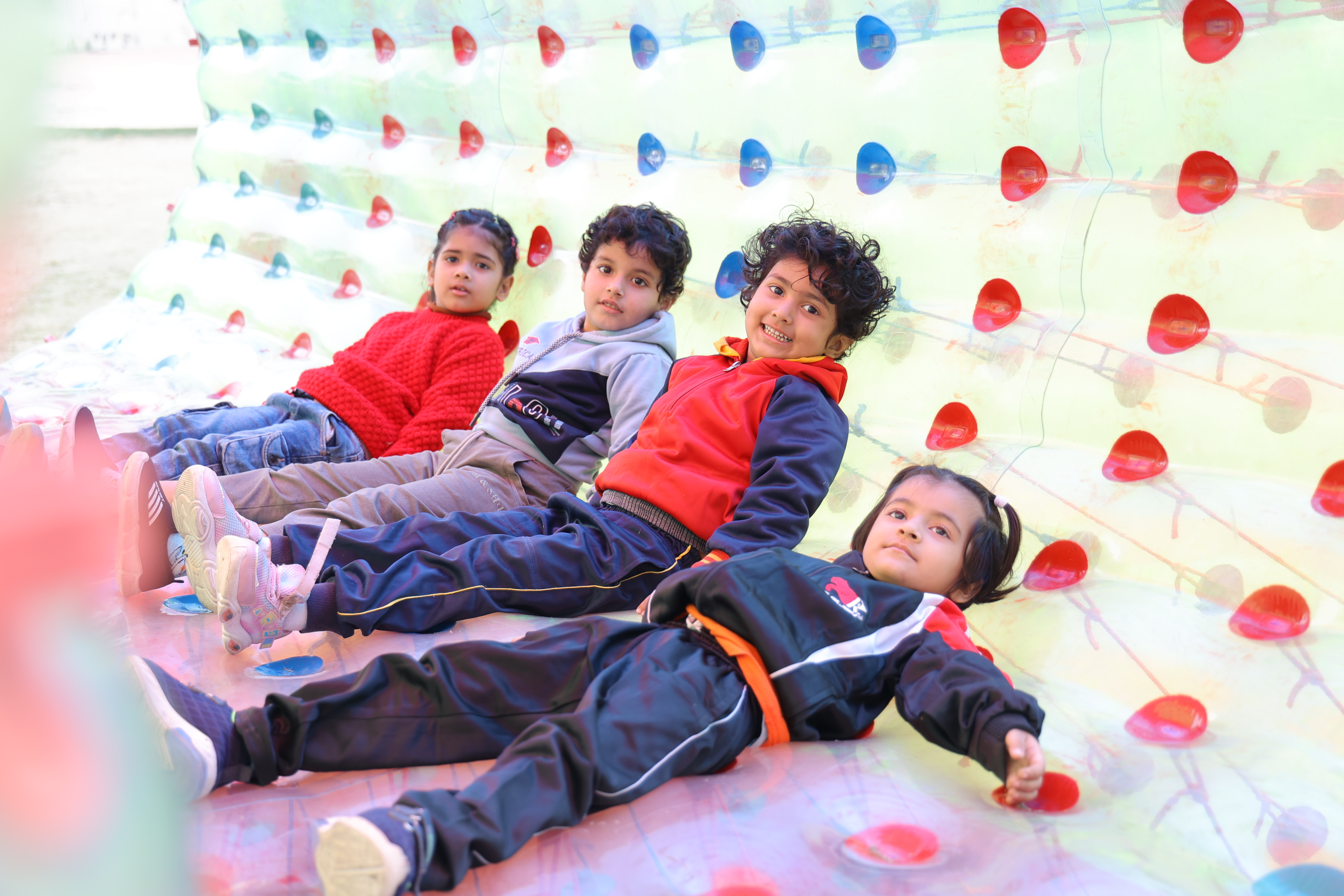 Rawal Public School 8