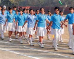 Apex Public School 29