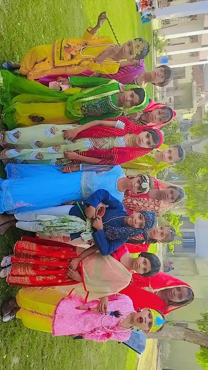 D.V. Public Senior Secondary School 4