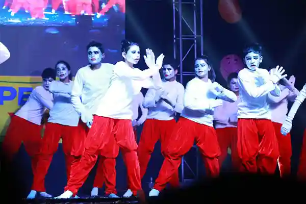 Delhi Vidyapeeth 6