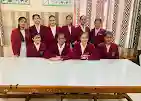 Hindu Senior Secondary School 4