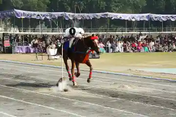 Motilal Nehru School of Sports 18