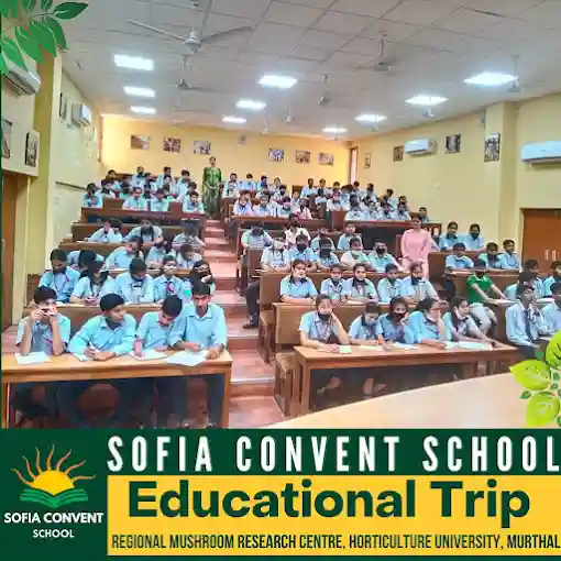 Sofia Convent School 8