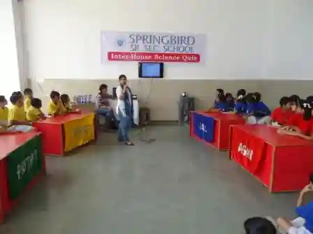 Springbird School 4