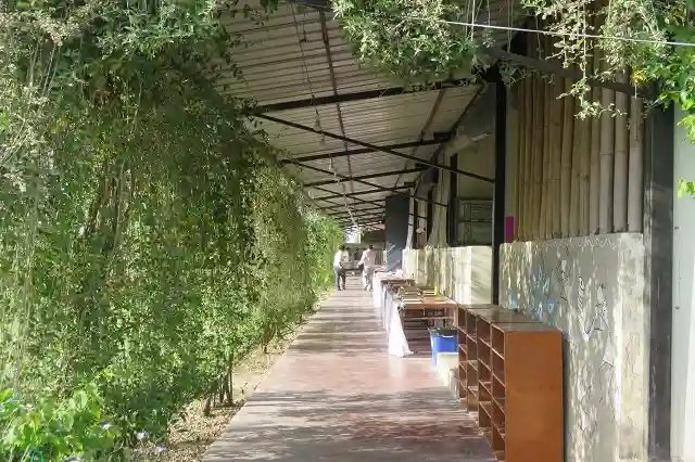 Umang - A Democratic School 5