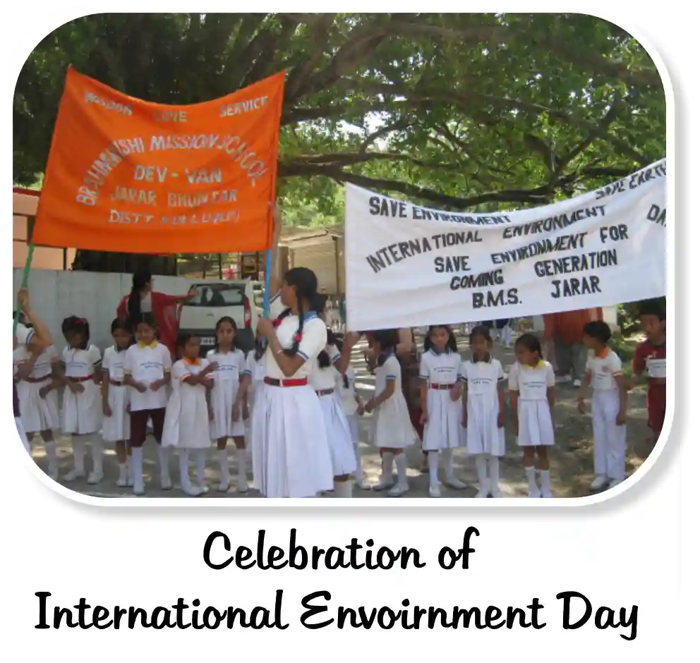 Brahmrishi Mission School Jarar 7
