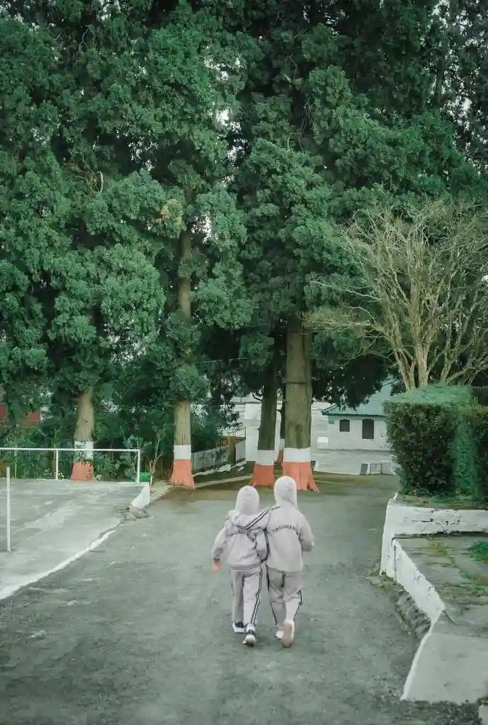 Dagshai Public School 12