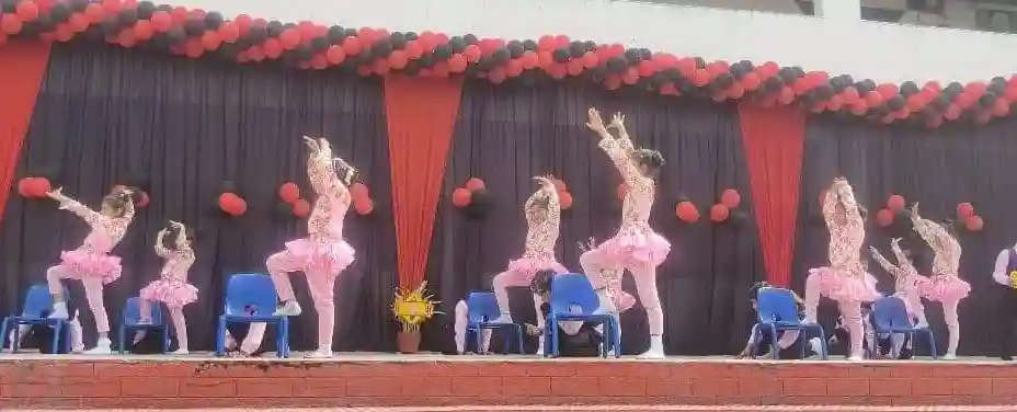 Delhi Public School 5