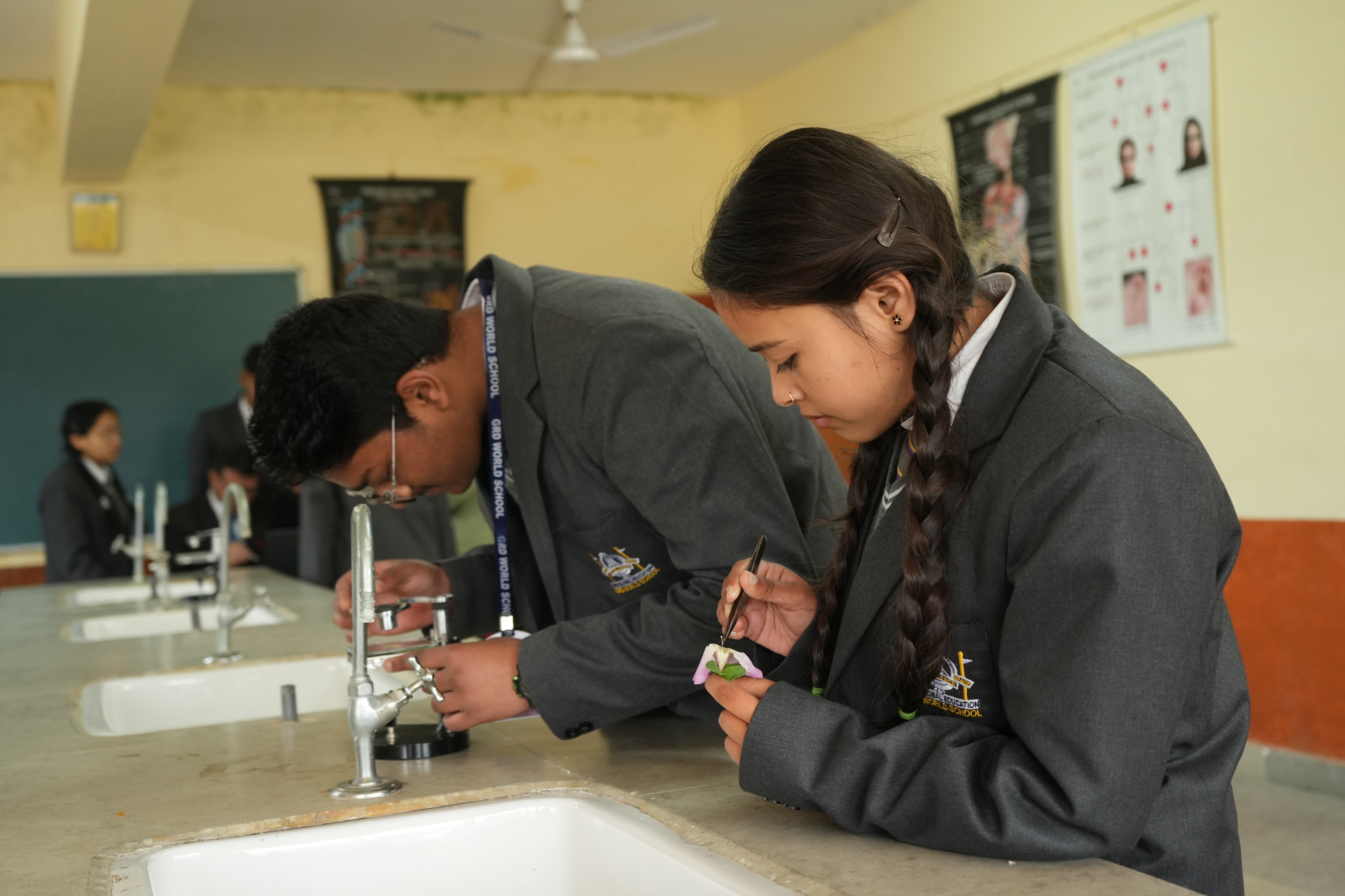 GRD World School 10