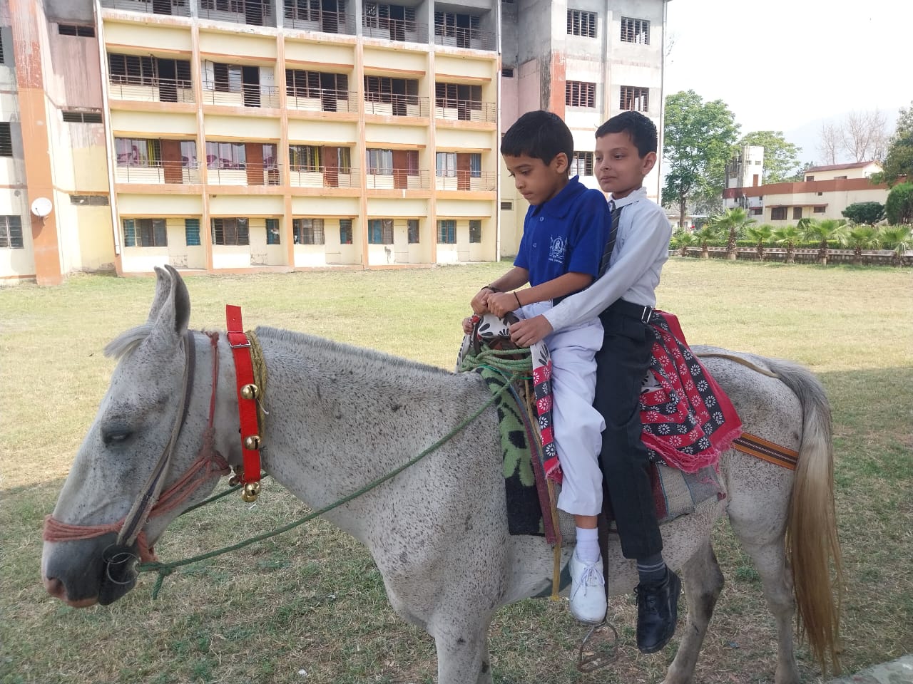 GRD World School 27