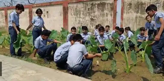 Holy Child School 3