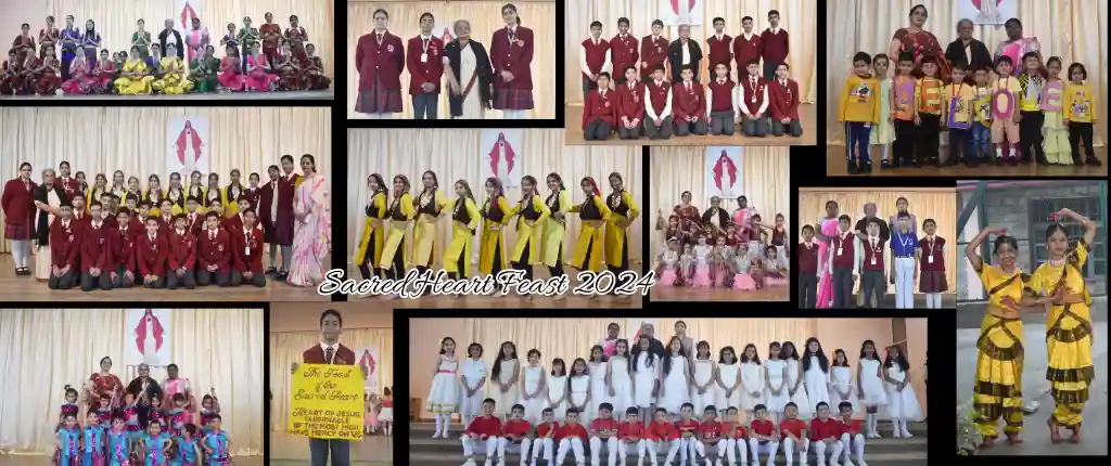 Sacred Heart Senior Secondary School 8