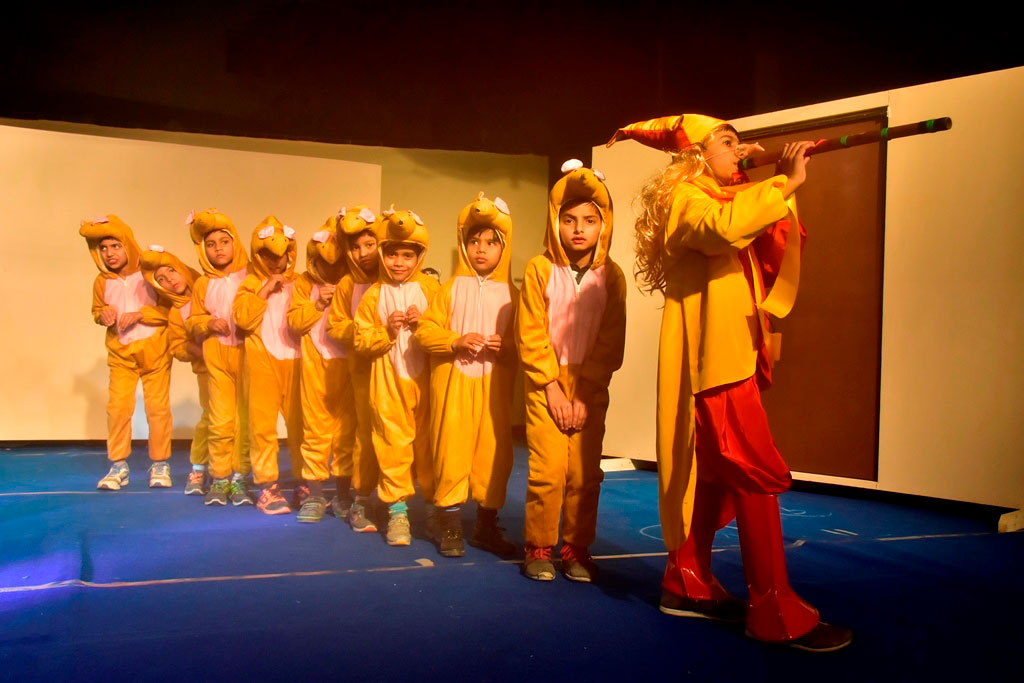 Shri Ramswaroop Memorial Public School 21