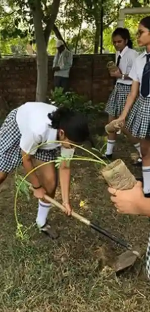 Vidya Devi Jindal School 12