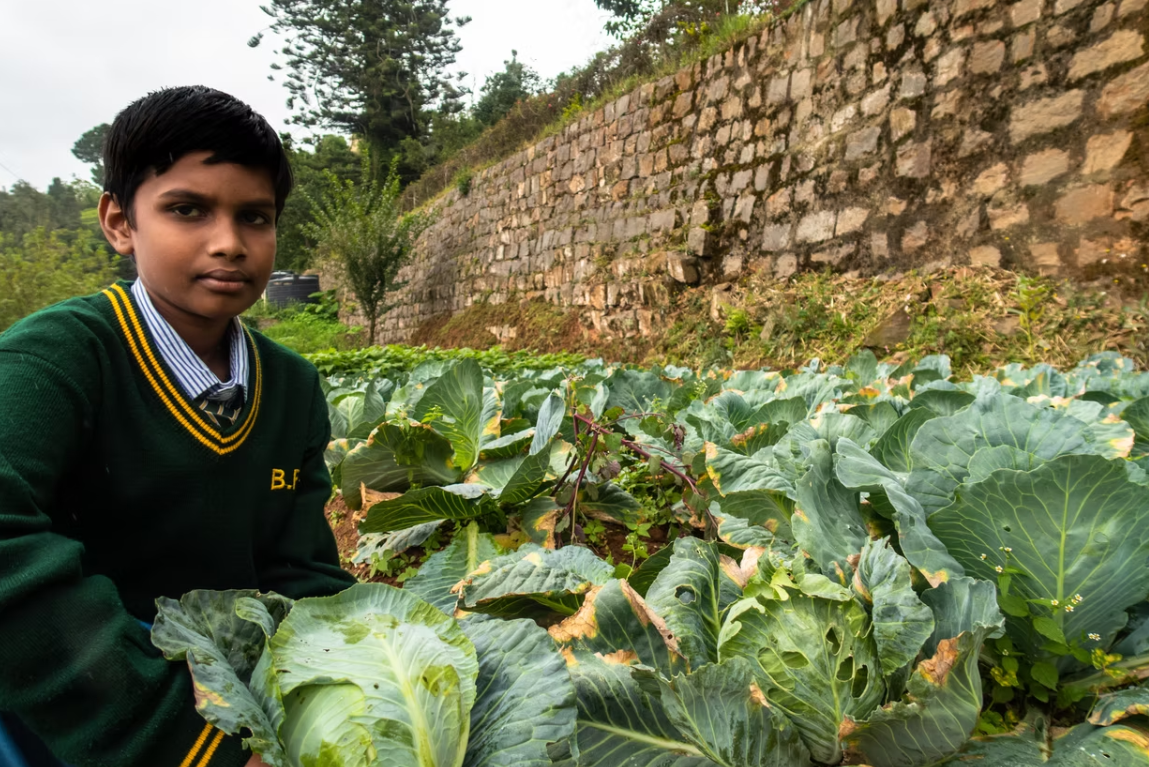 Brindavan Schools 2