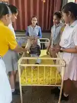 Apeejay School 8