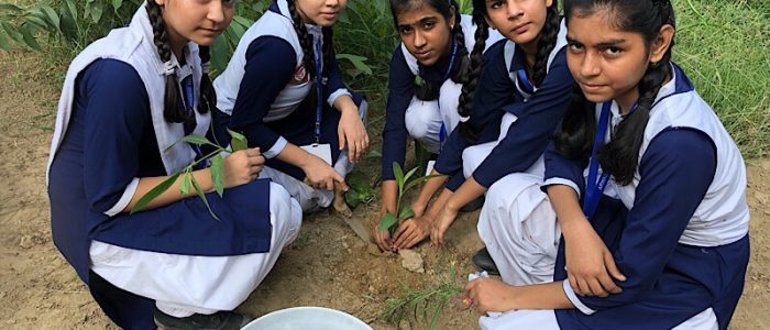Arwachin Shiksha Sadan Secondary School campus 5