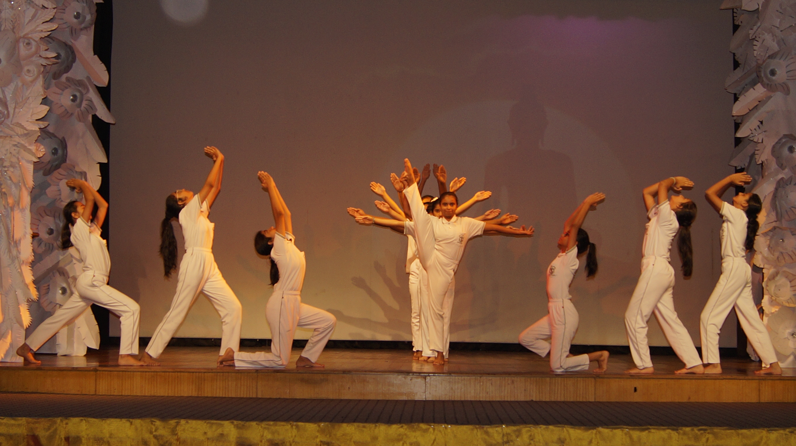 DPS International School 6