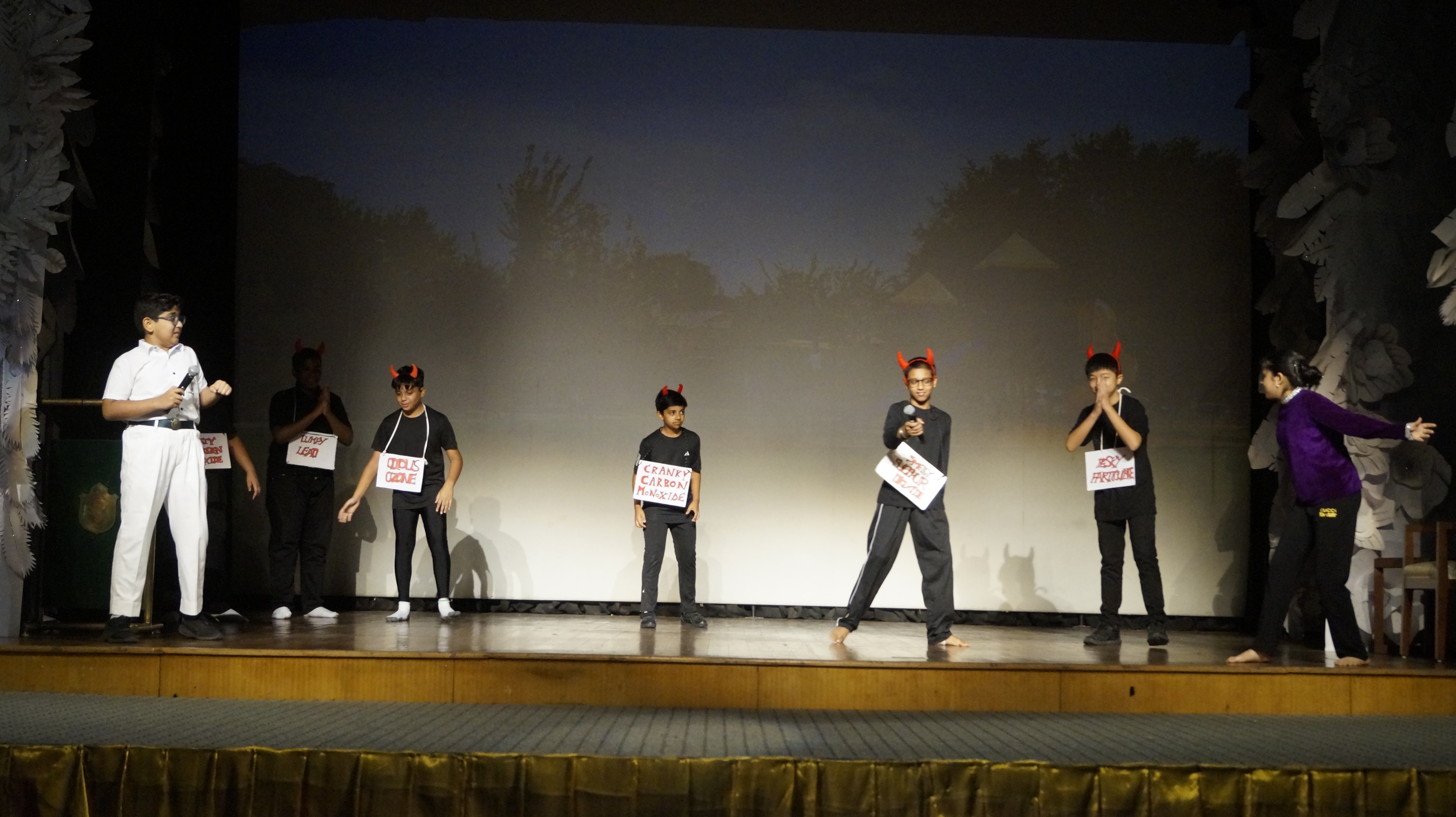 DPS International School 27