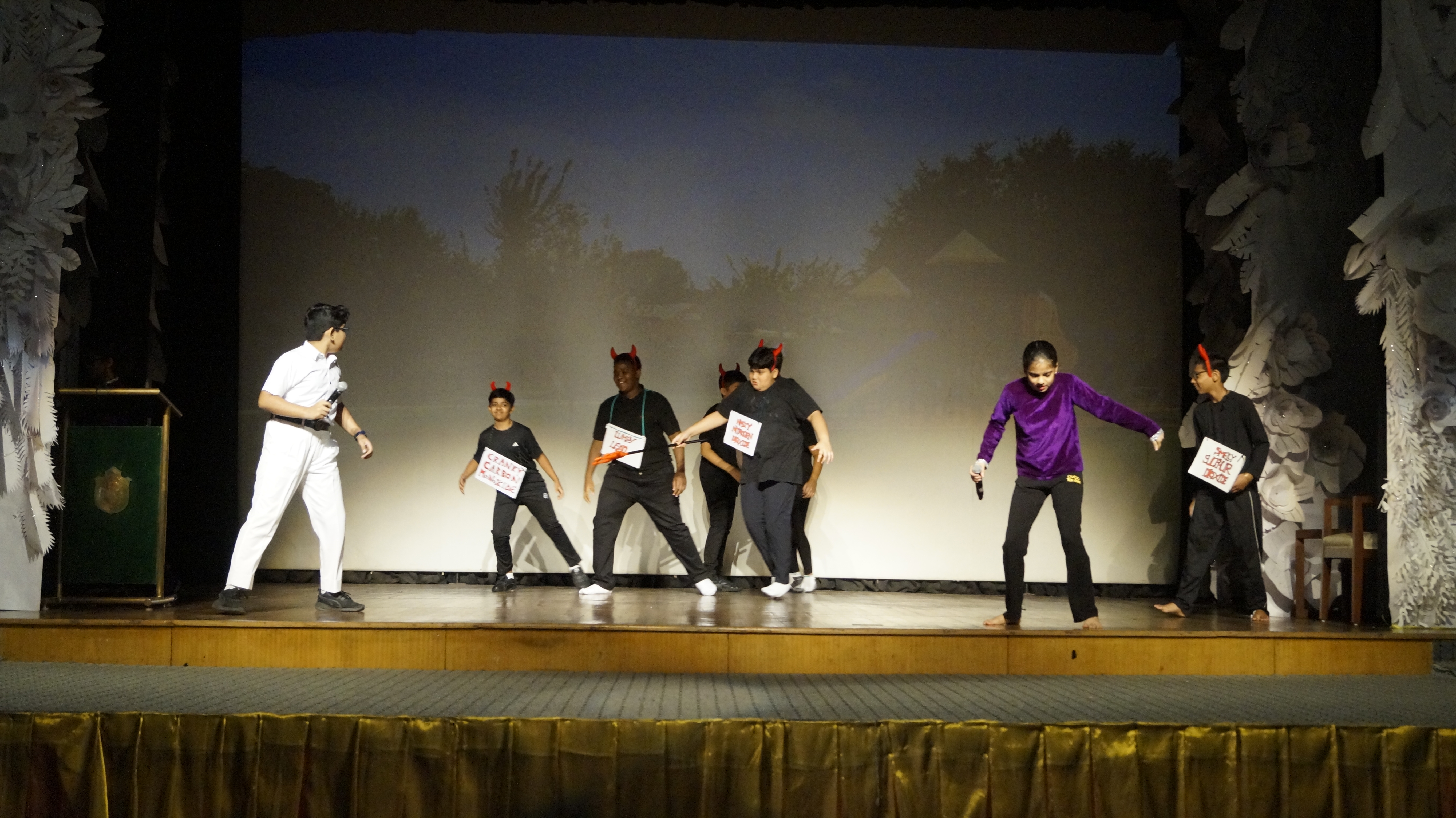 DPS International School 29