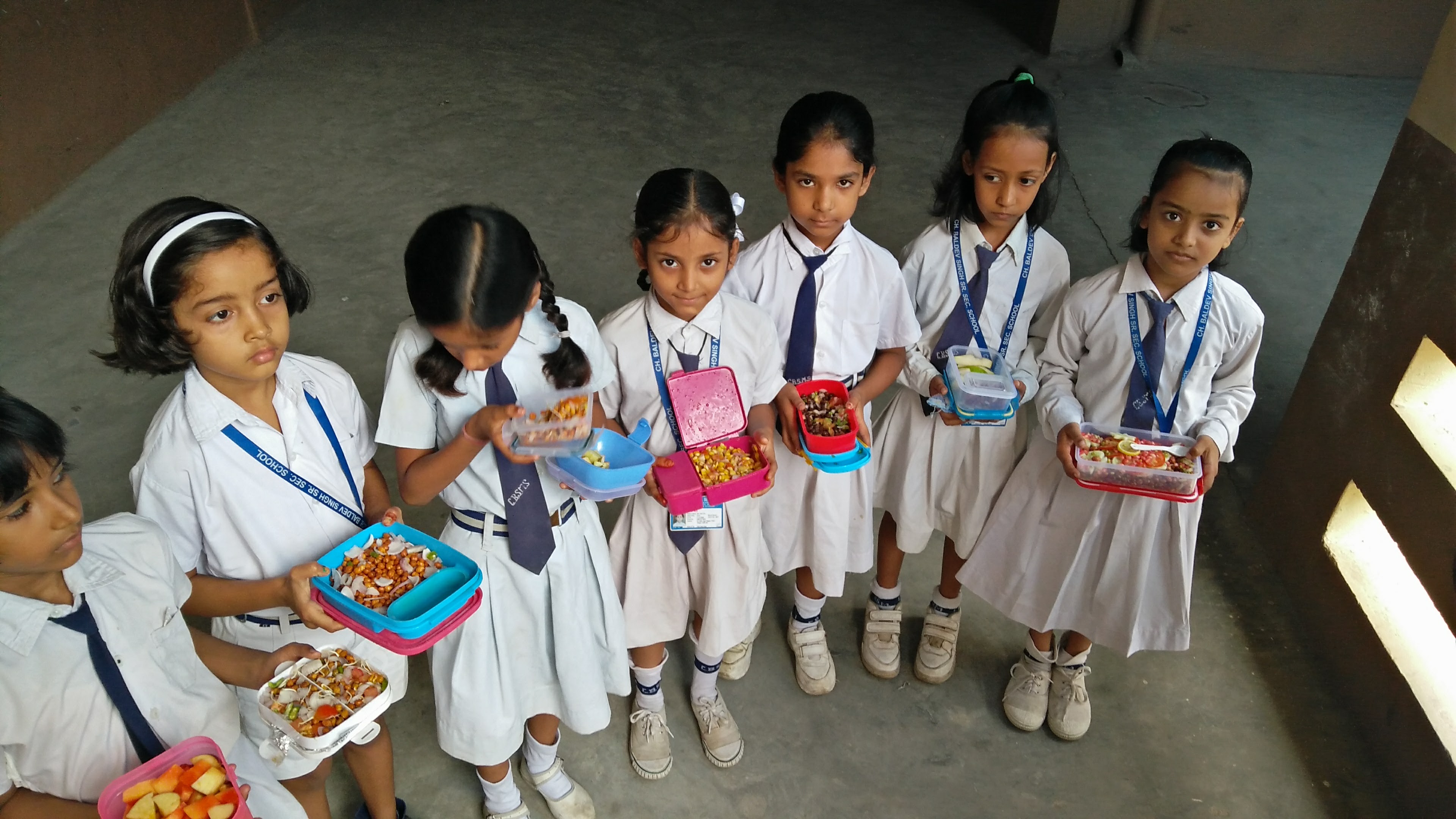 Ch. Baldev Singh Model School campus photo 5 of 27 — Kirari Suleman Nagar