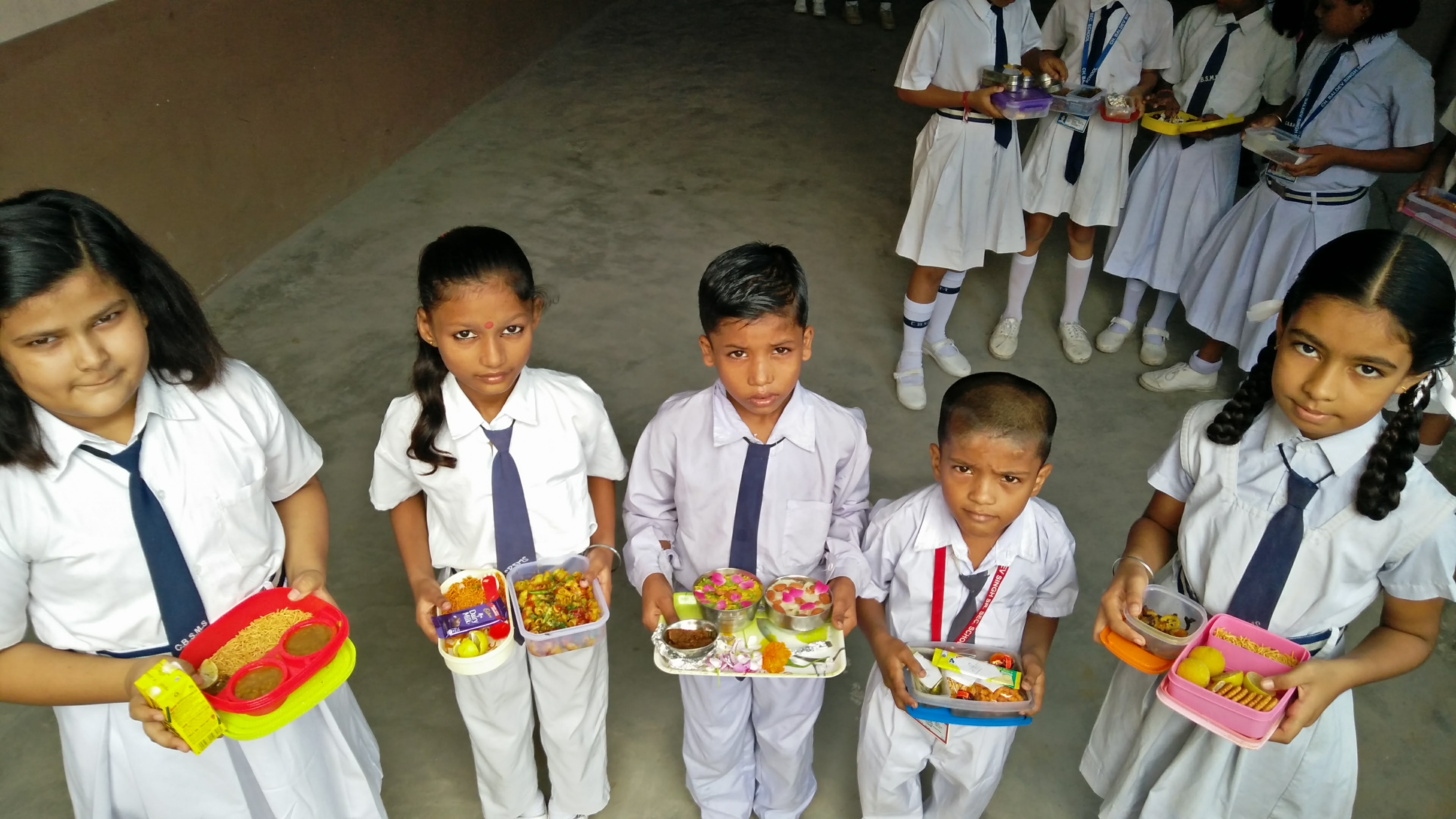 Ch. Baldev Singh Model School campus photo 22 of 27 — Kirari Suleman Nagar