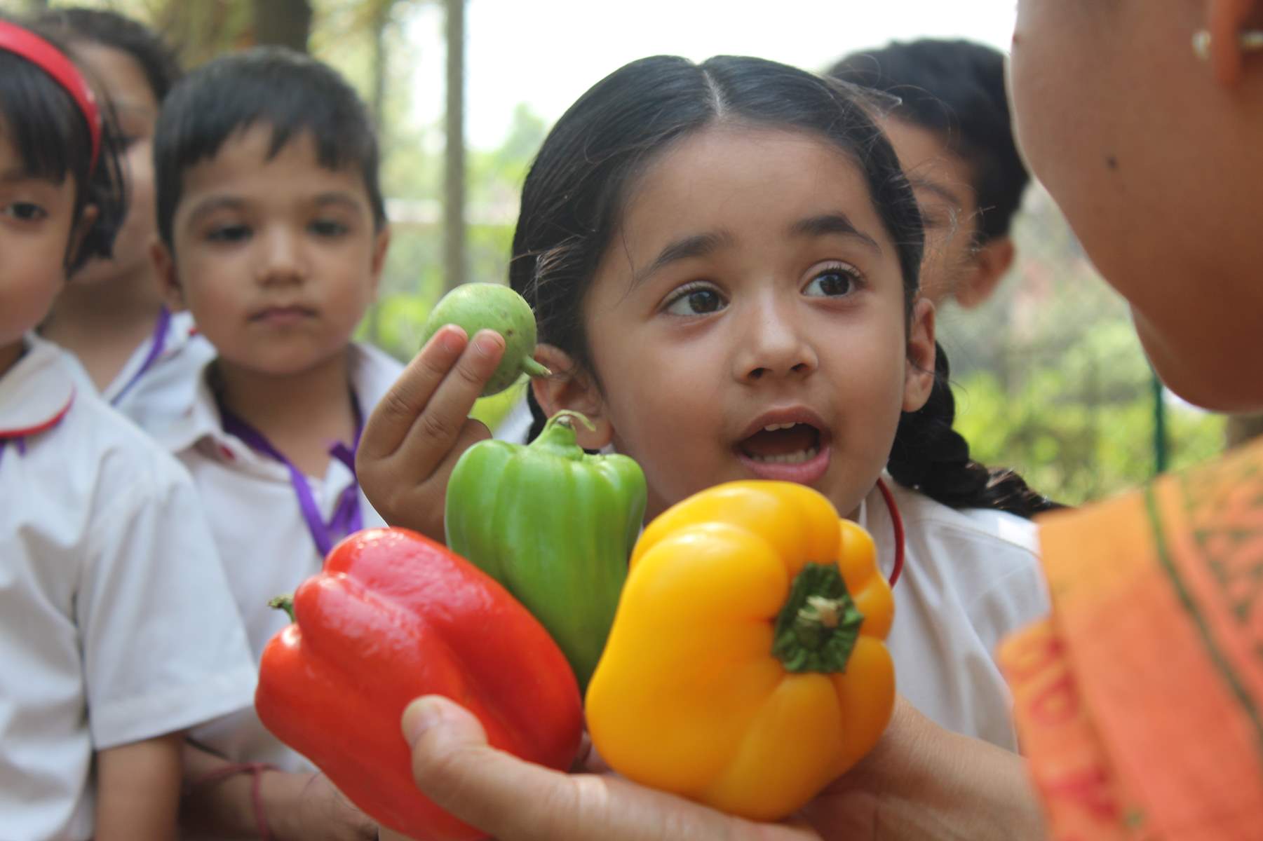 Manav Bharati India International School 13