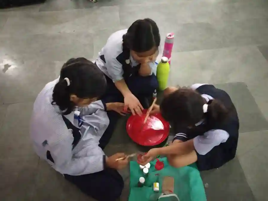 Cosmos Public School 2