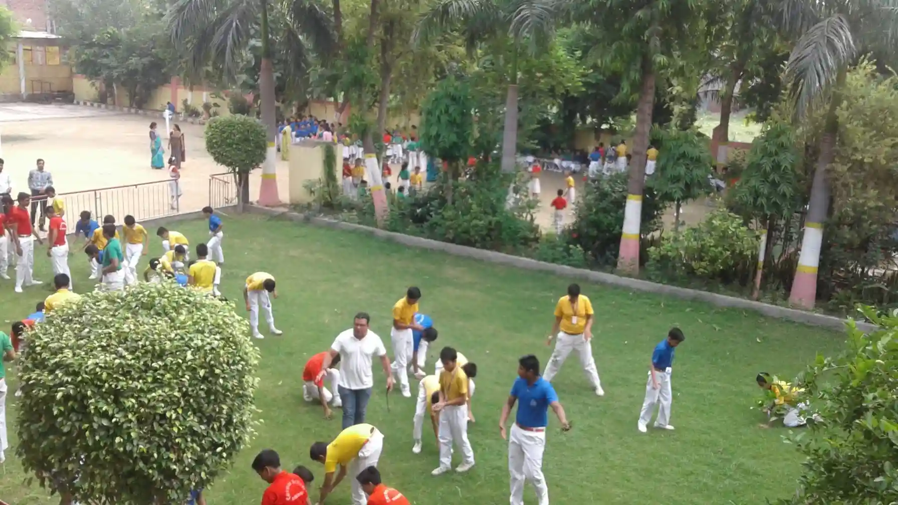 Cosmos Public School 4