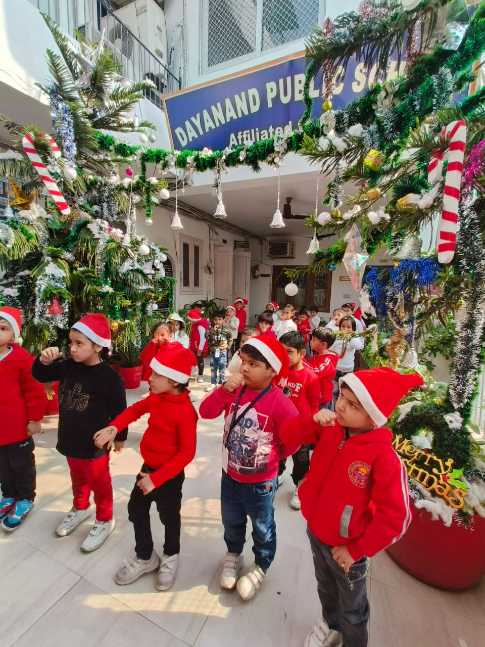 Dayanand Public School 13