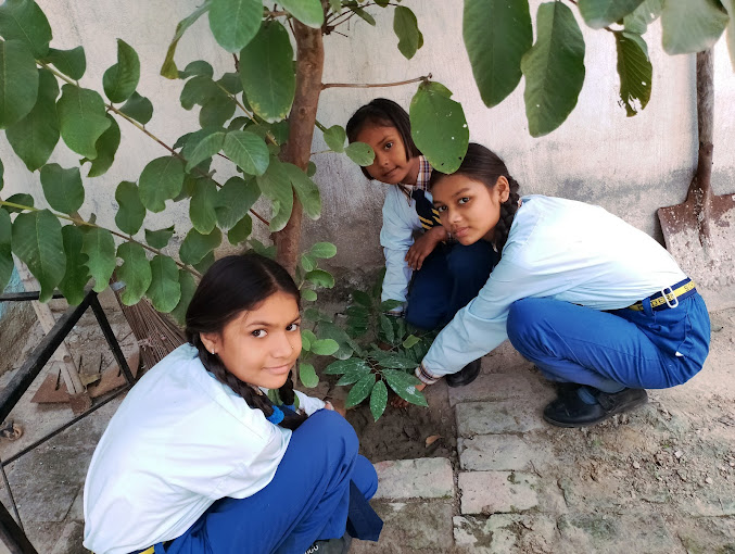 Dev Rishikul Modern School campus photo 7 of 22 — Narela