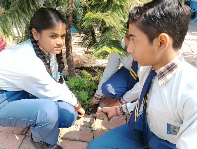 Dev Rishikul Modern School campus photo 20 of 22 — Narela