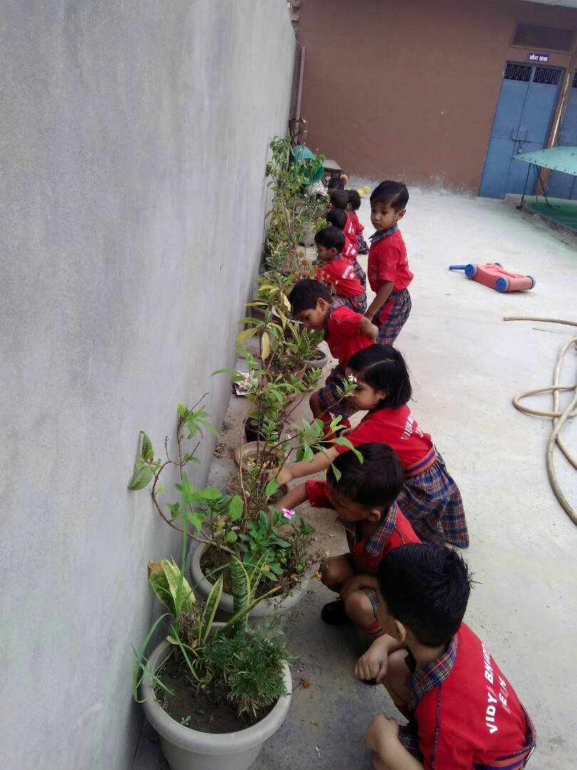 J.M. Model Public School 2