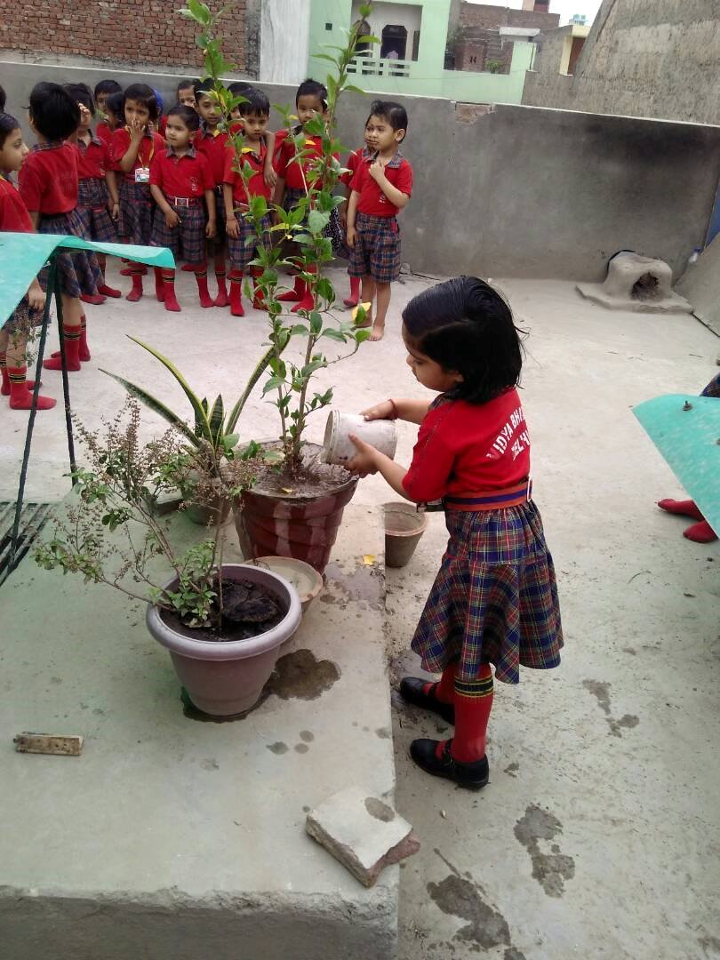 J.M. Model Public School 3