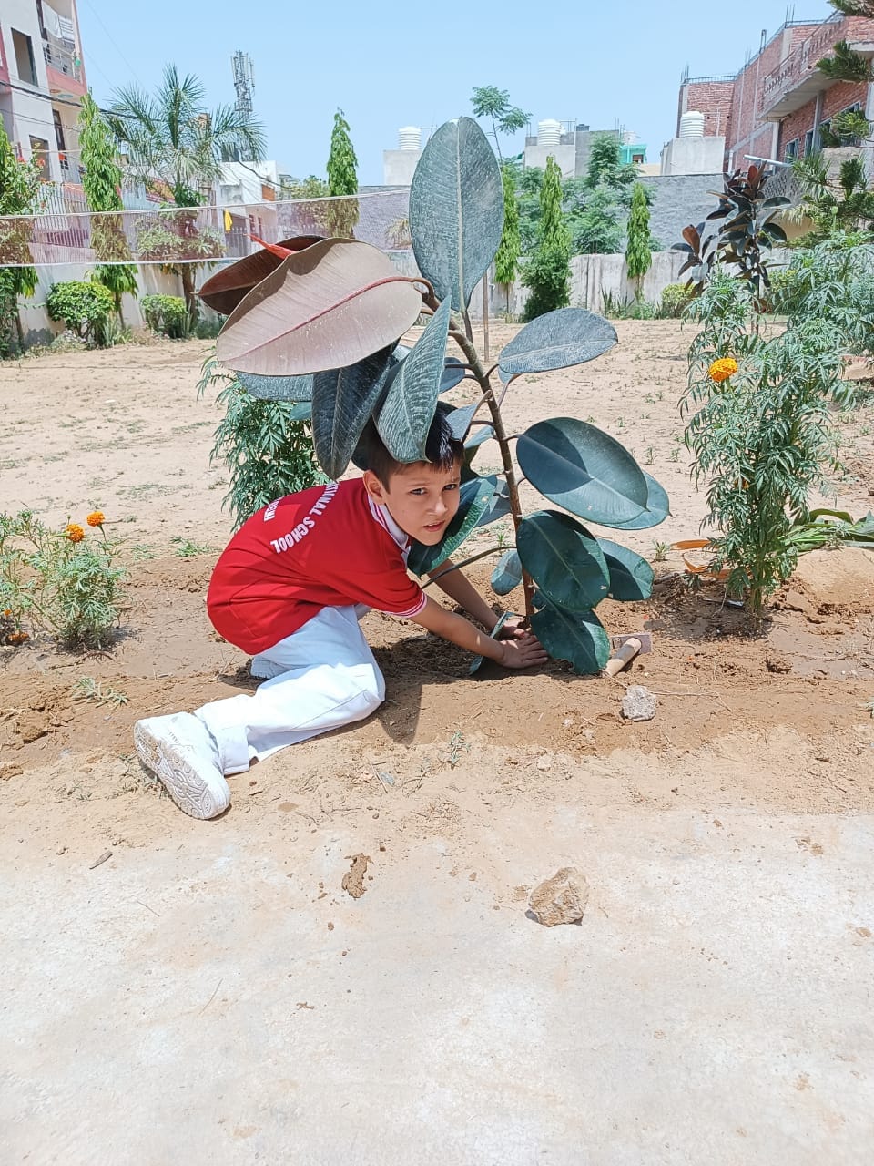 J.S. International School campus 3