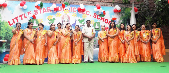 Little Star Public School campus 3