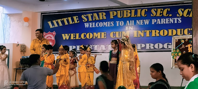 Little Star Public School campus 6