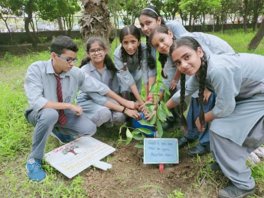 Maharaja Agrasen Vidyapeeth campus 2