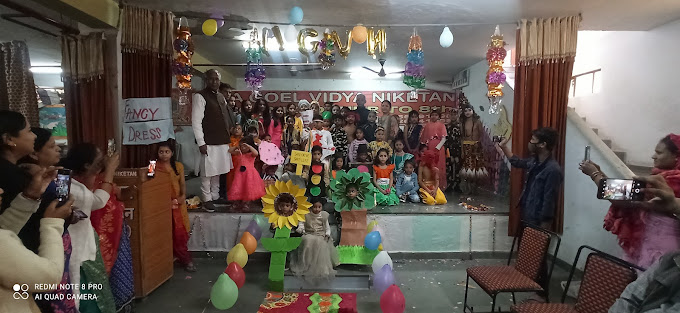 Maya Goel Vidya Niketan campus 3